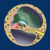 Ear Disorders: Inner PC 용