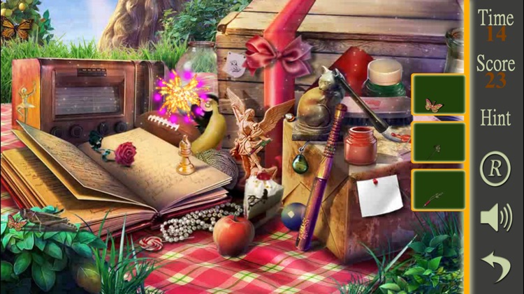 Hidden Objects A Picnic Weekend
