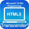 Flash for MS HTML5