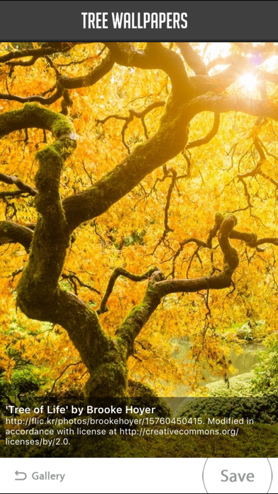 Screenshot #3 pour Tree Wallpapers