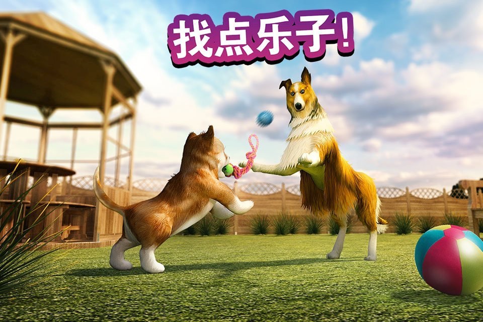 Dog Simulator 2015 screenshot 4