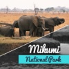 Mikumi National Park Travel Guide