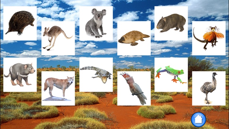 Animals Australia