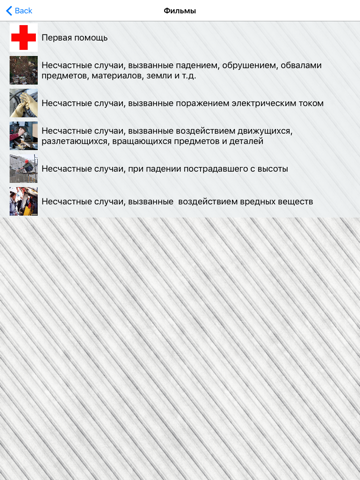 Screenshot #5 pour SIP Инженеру Охраны труда