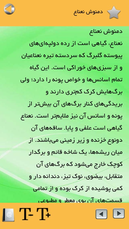 دمنوش های گیاهی