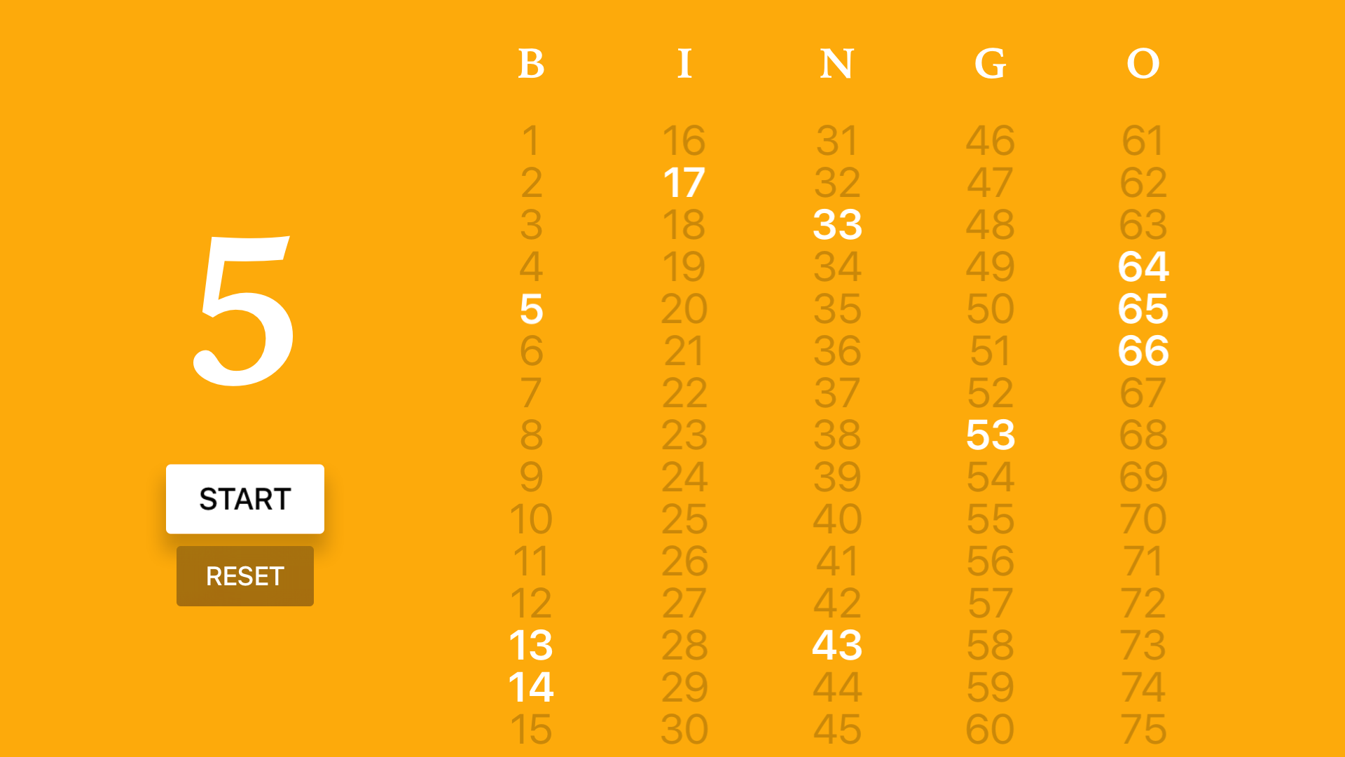 Bingo