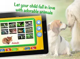 Game screenshot ZOOLA Kids Videos HD - Educational Videos for kids hack