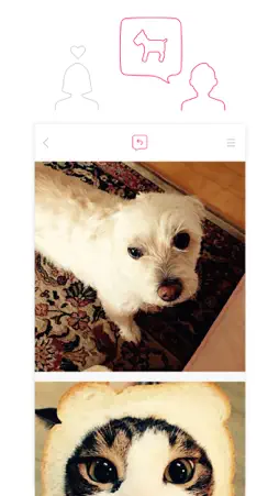 fofo screenshot 2