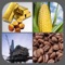 Here we come with real time & futures market commodity prices