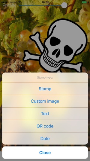 Watermark Photo(圖1)-速報App