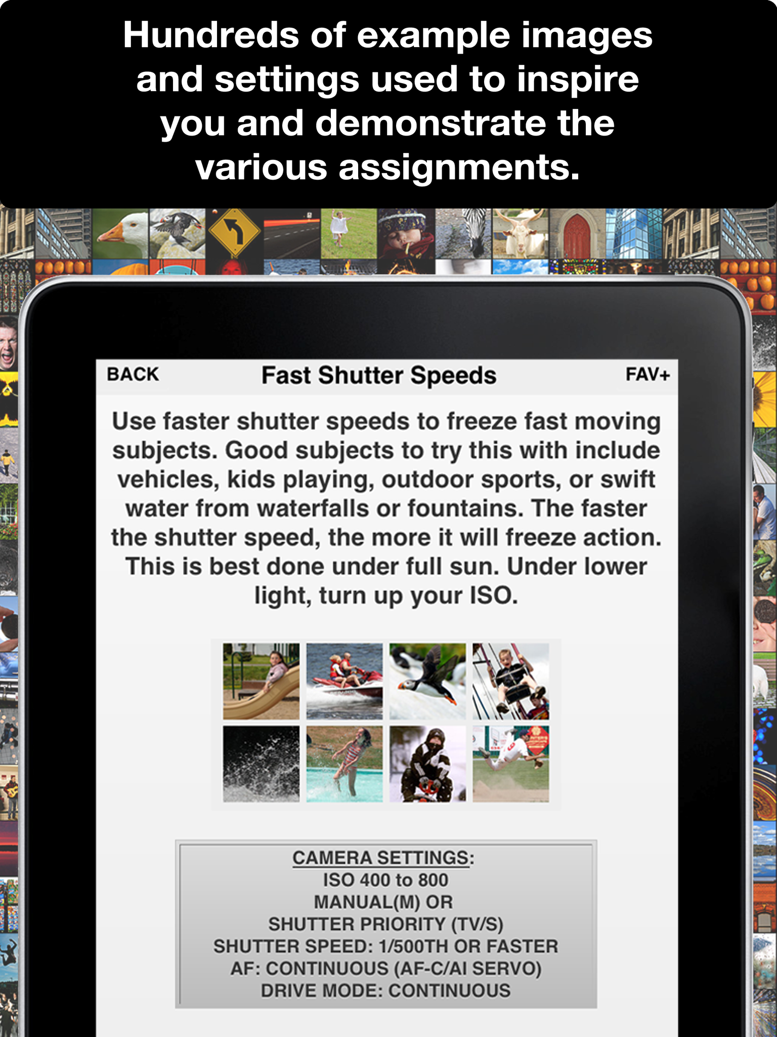 Learn Photo365 Lite