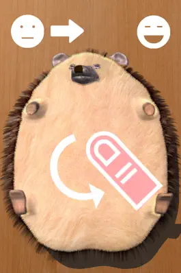 Game screenshot Super Belly Rub: Hedgehog Massage Parlor apk