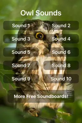 Game screenshot Owl Sounds mod apk