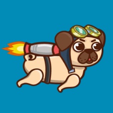 Activities of Rocket Pug