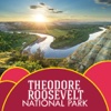 Theodore Roosevelt National Park Guide
