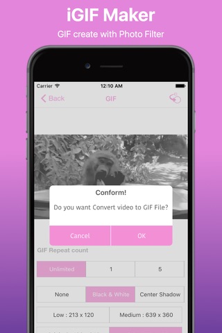 Video to GIF Converter Pro screenshot 3