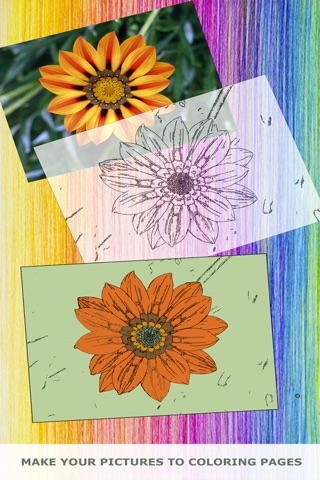 Chromotherapy - Make Your Pictures To Color Therapy Art books for Adults screenshot 2