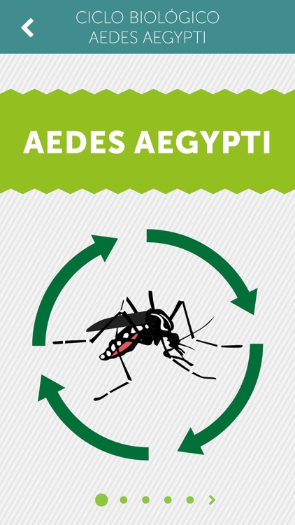 Aedestrói Premium screenshot-3