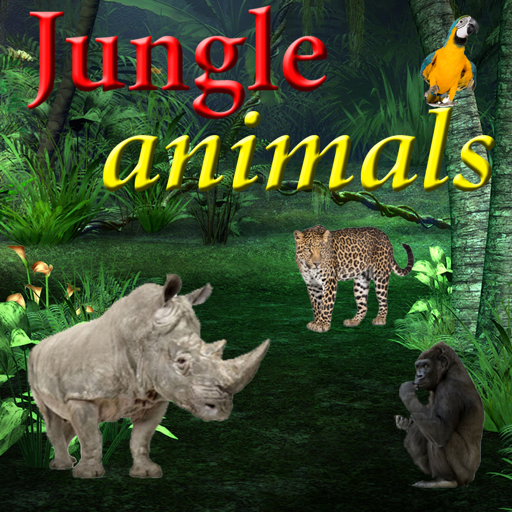 Jungle Animals