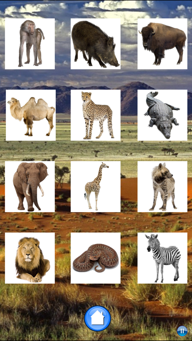 African Animals Screenshot