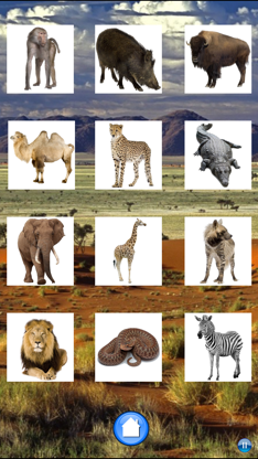 African Animals screenshot 2