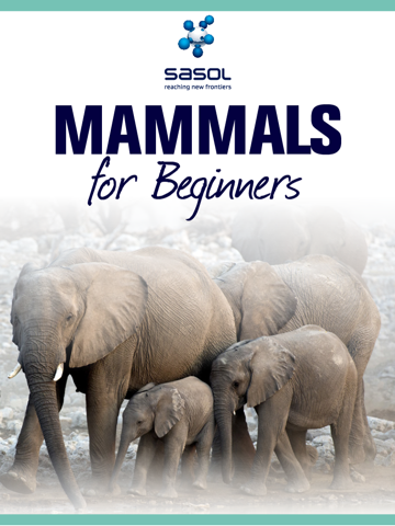 Screenshot #4 pour Sasol Mammals for Beginners (Lite): Quick facts, photos and videos of 46 southern African mammals