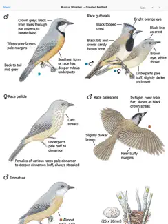 The Michael Morcombe and David Stewart eGuide to the Birds of Australia LITE iPad image 4