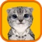 The most beautiful and realistic Cat Simulator available on App Store