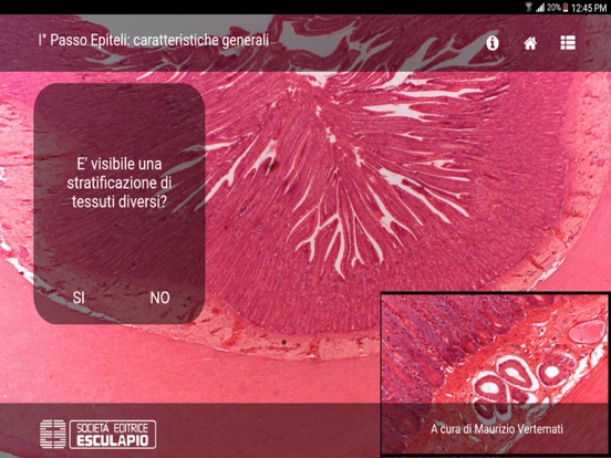 Screenshot #4 pour Diagnosi di Anatomia Microscopica