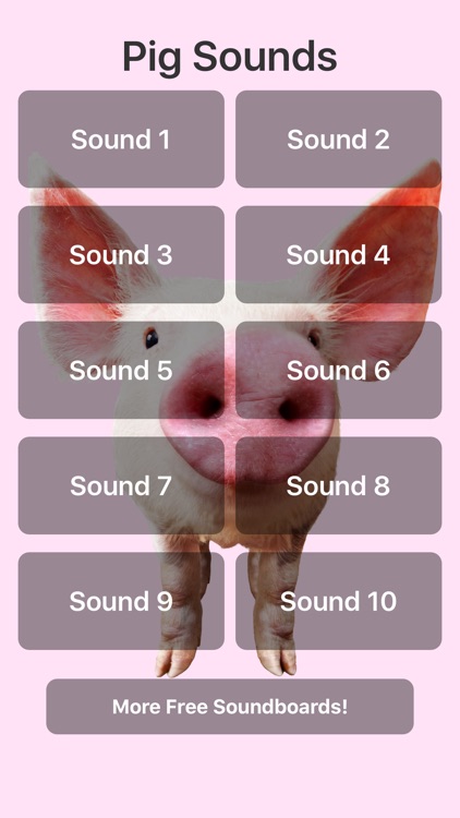 Pig Sounds