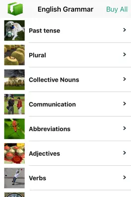 Game screenshot English Grammar With Photos (Learning & Practice) mod apk