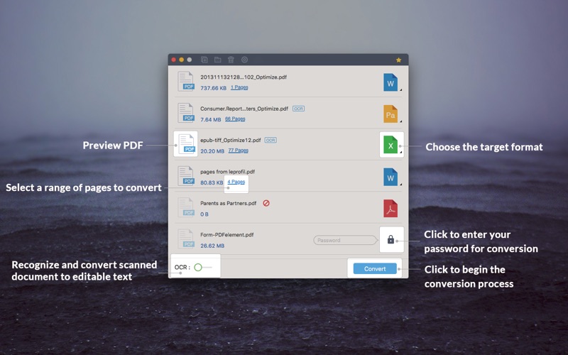 Screenshot #2 for PDF Converter Pro