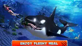 killer whale beach attack 3d problems & solutions and troubleshooting guide - 2