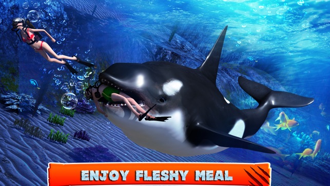 Killer Whale - Play Online on SilverGames 🕹️
