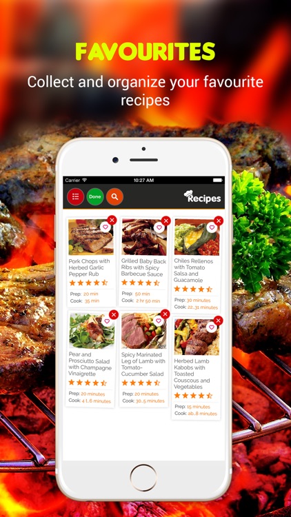 Grilling Recipes screenshot-3