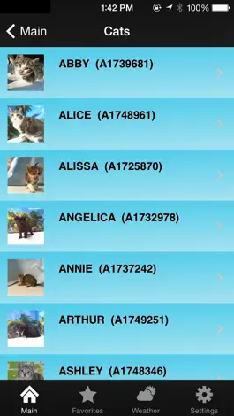 Game screenshot Miami Pets apk