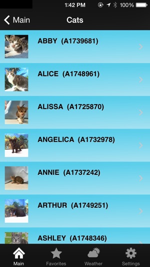 Miami Pets(圖2)-速報App