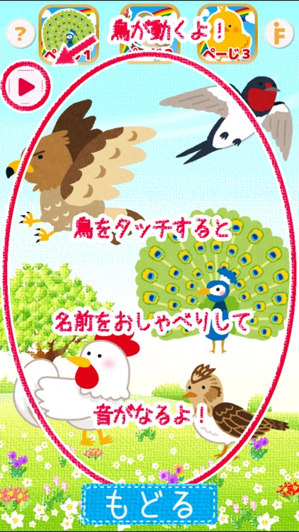 とりタッチ-さわって遊んで鳥の名前を覚えよう！