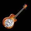 Dobro Tuner Simple problems & troubleshooting and solutions