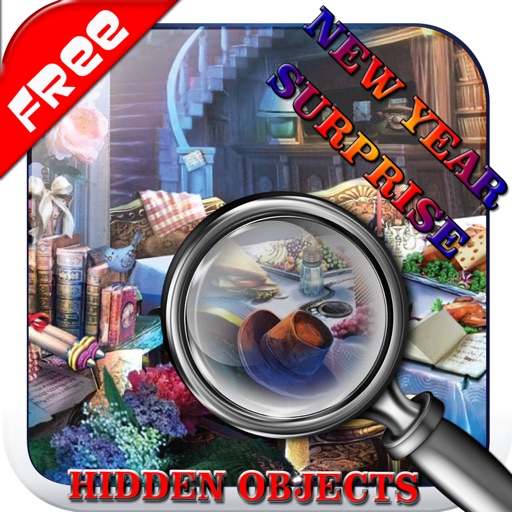 Find The New Year Surprise Hidden Objects Icon