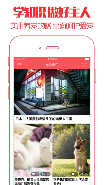 猫咪之家 - 喵星人聚集地,猫奴必备养猫社区