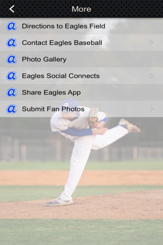 Airport Eagles Baseball screenshot 4