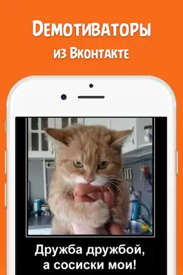 Game screenshot Чёткие приколы - прикольные картинки демотиваторы, смешные мемы из Вконтакте / ВК / VK mod apk