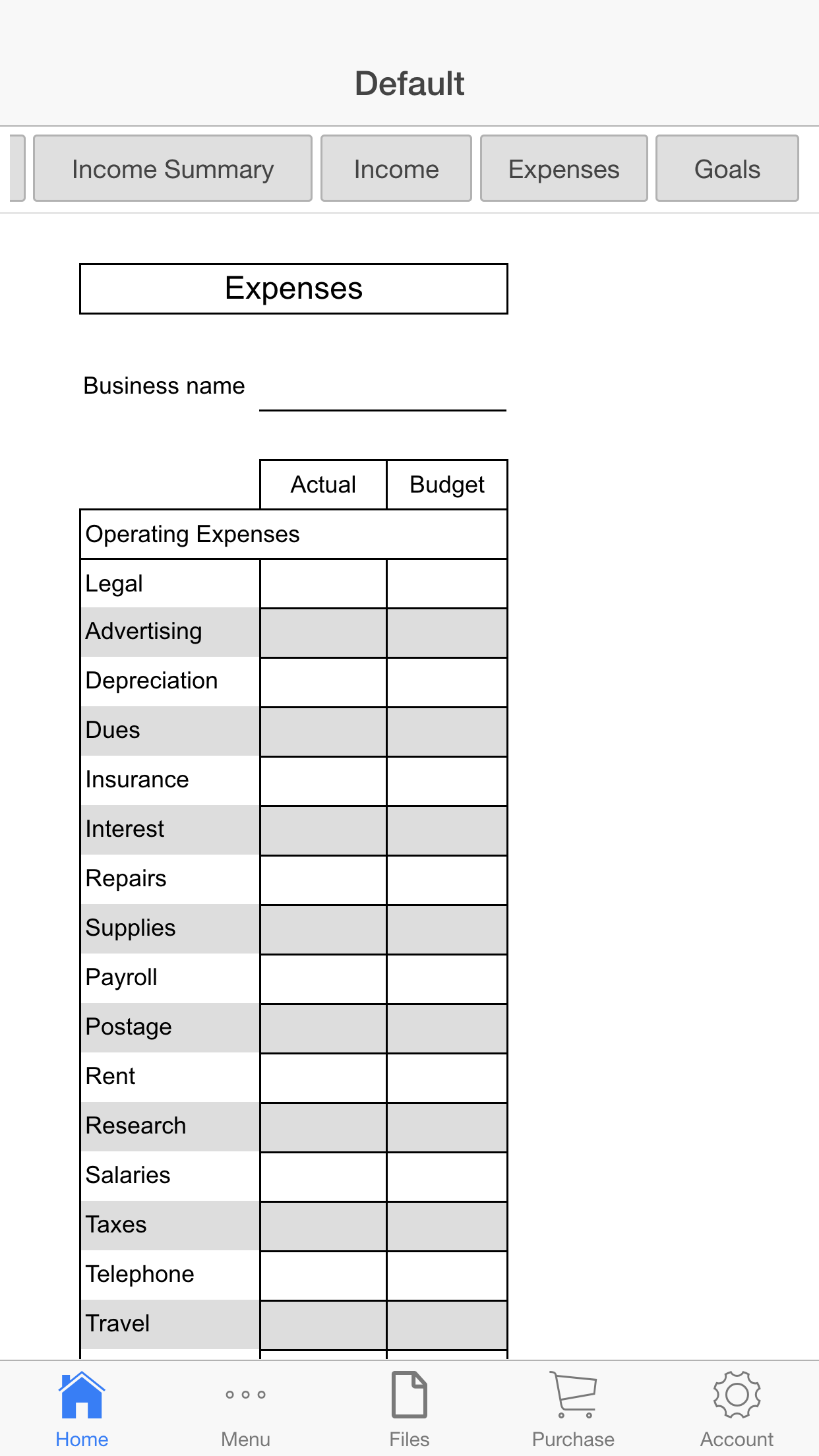 Business Budget Pro