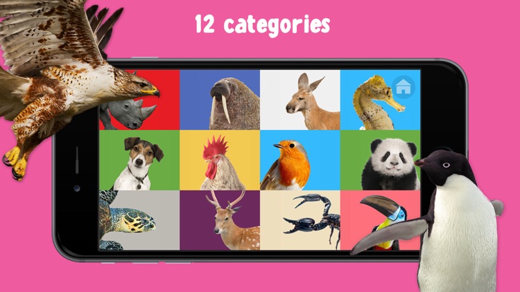 100 Animals Words for Babies & Toddlers School Edition screenshot-3