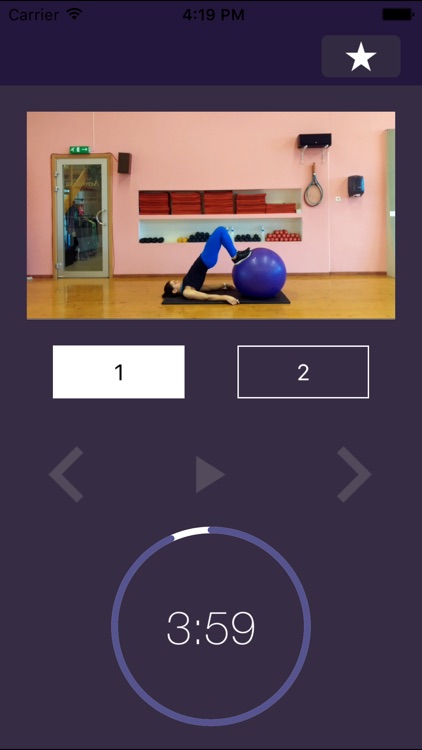 Stability Ball Exercises – Swiss Exercise Program for Strength and Physically Strong Gym Body