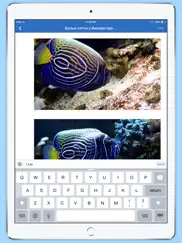 reefcentral.ru ipad resimleri 2
