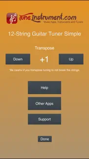 12-string guitar tuner simple iphone images 3