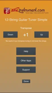 12-string guitar tuner simple iphone screenshot 3