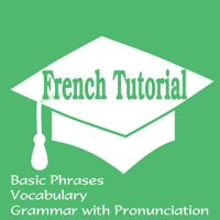 French Tutorial Basic Phrases Vocabulary and Grammar with Pronunciation